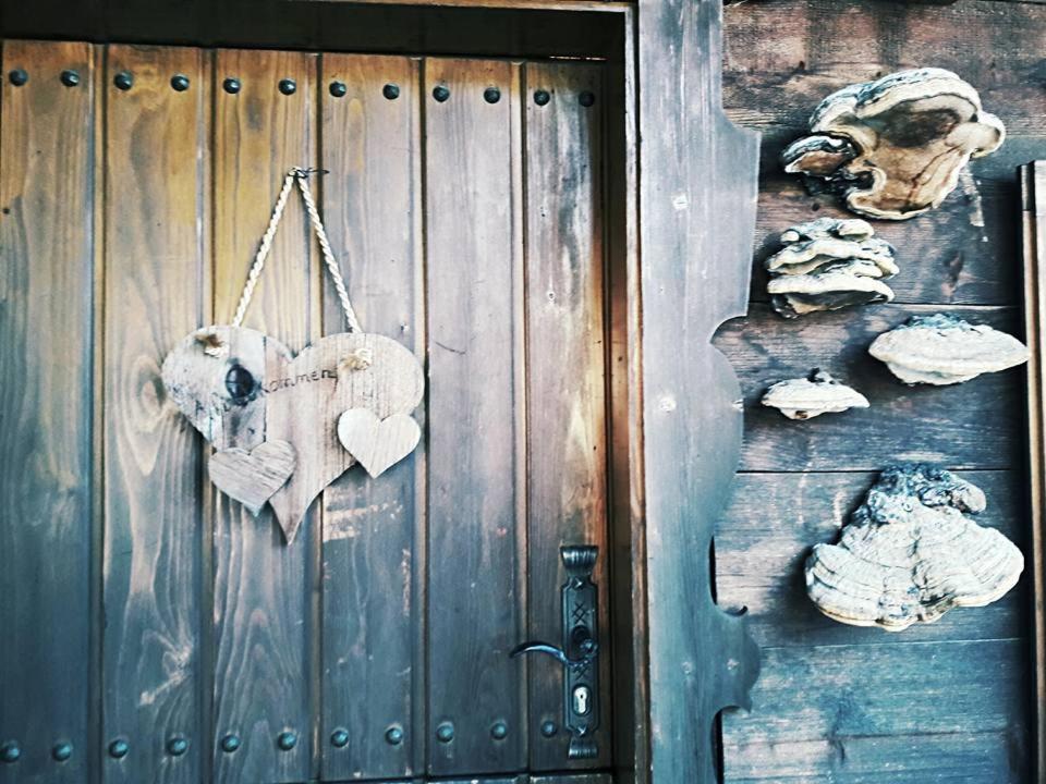 ザンクト・ガレンキルヒHaus Lifinar - Carmen Juenアパートメント エクステリア 写真